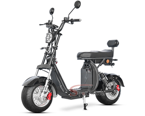 Motocicleta Mini para Adultos, Motor de 1000W - Product Image 3