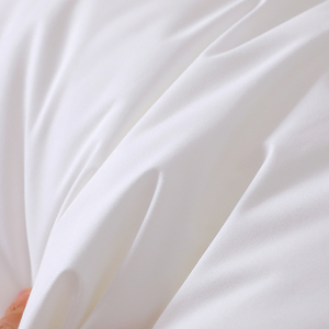 65x40x8cm 10 cái thiết lập trong một thùng carton 100% bông sợi nhỏ điền khả năng kháng cháy ngọn lửa gối giường ngủ gối - Product Image 4