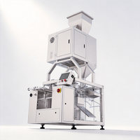 Machine d'emballage automatique pour sachets préformés de chips de pommes de terre, biscuits et snacks