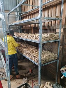 100% Organic Coffee Wood Pet Toy with Braided Hemp <b>Rope</b> Durable Dental Chew for Dogs Sustainable Pet Accessories Supply - Product Image 6