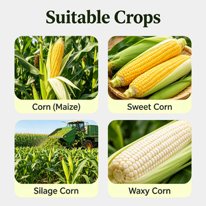 Fertilizante foliar líquido con aminoácidos y micronutrientes quelados (Zn, B, Fe) para promover el crecimiento del maíz y resistencia a la estabilización. - Product Image 3