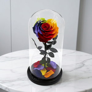 Cúpula <span class=keywords><strong>de</strong></span> <span class=keywords><strong>Cristal</strong></span> en Forma <span class=keywords><strong>de</strong></span> Corazón <span class=keywords><strong>con</strong></span> Arcoíris <span class=keywords><strong>de</strong></span> 10 cm para Graduación, Romántico y Fresco, <span class=keywords><strong>con</strong></span> Rosas Eternas para Niñas, Año Nuevo Chino, 3-5 Años - Product Image 2