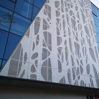 Paneles de Pared Cortina de Aluminio Perforado - Revestimiento de Fachada con Imagen Artística en Tonos Medios para Arquitectura Moderna