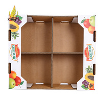 Emballage en carton personnalisé découpé à la forme, boîte d'expédition rigide, portable, robuste et écologique pour plantes en pot (cactus, succulentes)