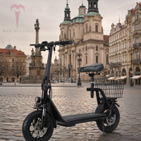 Scooter électrique robuste 500W 48V avec panier TC-ES001 certifié CE, grande roue de 12 pouces, pliable, pour le marché polonais