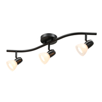 US livraison gratuite 2025 salon intérieur mural noir fer boutique Led piste lumière 3 lampes Spot lumière piste éclairage plafond