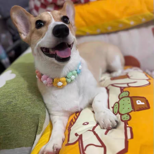 Collar <span class=keywords><strong>de</strong></span> punto <span class=keywords><strong>de</strong></span> lujo para <span class=keywords><strong>mascotas</strong></span> al por mayor, collar para gatitos, bufanda tejida <span class=keywords><strong>de</strong></span> lana, accesorios decorativos bonitos para <span class=keywords><strong>mascotas</strong></span> - Product Image 4