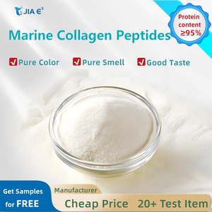 Poudre de collagène marin de <span class=keywords><strong>platine</strong></span> JIAYI certifiée Halal pour la beauté et la santé des os, complément alimentaire naturel pour adultes - Product Image 1