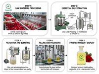 Huile parfumée à la rose en gros pour la fabrication de bougies parfumées - Parfum de qualité supérieure hautement concentré longue durée