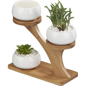 Lot de 3 pots de fleurs ronds <span class=keywords><strong>en</strong></span> céramique blanche de 3 pouces avec support <span class=keywords><strong>en</strong></span> <span class=keywords><strong>bambou</strong></span> à plusieurs niveaux pour la décoration du jardin, de la cuisine, de la maison et du bureau - Product Image 2