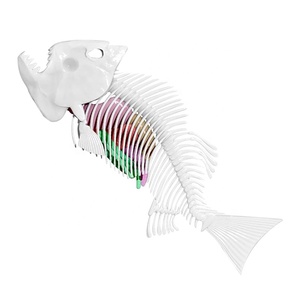 Banatoy Daily Surprise Anatomy Games Animal Dissect Club Piranha Dissecting Relaxing Squeeze Toys para niñas - Product Image 4