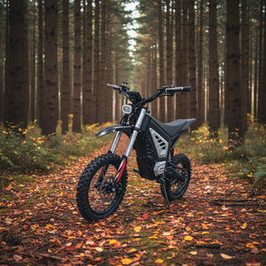 Moto tout-terrain électrique pour adultes OBX GT73, best-seller d'usine, 2000W 52V, ETM RTR, 72V, Talaria X3 - Product Image 3
