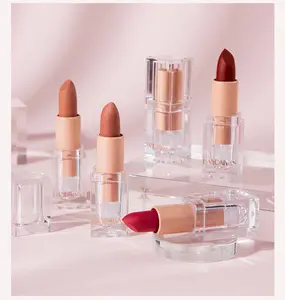 Lipstik Matte beludru tahan air, Lipstik Lipgloss tahan lama 12 warna pilihan China