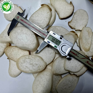 Frozen IQF King Huître Champignon Blanc Pleurotus <span class=keywords><strong>Eryngii</strong></span> Tranches En Vrac Organique Congélation Sain Naturel En Gros - Product Image 2