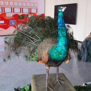 Fabrieksgemaakte op ware grootte animatronische pauw met verenbeweging voor dierentuinen, museum, avonturenpark, kinderdagverblijf, winkelcentrum en luchthaven - Product Image 4