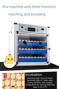 Incubadora de Huevos Inteligente de Nueva Generación para Aves, Pollos, Emús, Gansos y Avestruces |   Máquina de Incubación Totalmente Automática con una Tasa de Incubación del 96% Fácil de Usar - Product Image 5