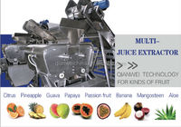 Bananenchips snij- en productiemachine (0,5t/u-50t/u) met automatische bananenpelschiller en voedselsterilisator, automatische fruitproductielijn