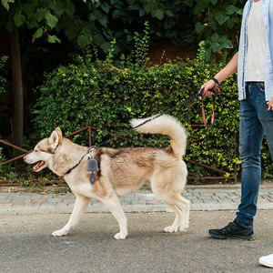 Porte-sac à crottes mignon en forme <span class=keywords><strong>de</strong></span> cloche pour chien-Distributeur silencieux, adapté aux promenades en plein air pour chiens <span class=keywords><strong>de</strong></span> petite et moyenne taille - Product Image 5