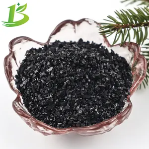 Granular Activated Carbon Suppliers Granular Activated Charcoal Coconut Shell Based Activate Carbon