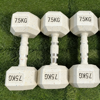 Haltères en caoutchouc de 2,5 à 5 kg pour la musculation – Vente en gros pour les professionnels