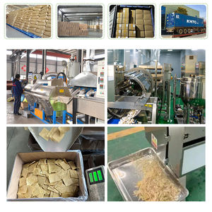 Proteína Vegetal Texturizada (TVP), Proteína Vegetal Texturizada Baja en Grasa, Materia Orgánica, Carnivoro - Product Image 6