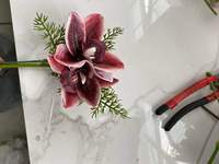 Buket Pengantin Mewah Putih Cosmos Peony Bertingkat, Anggrek Burgundy, Calla Lily, Amaranthus & Dekorasi Pernikahan Romantis