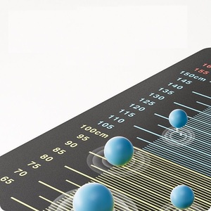 Standing Long Jump Test <strong>Gymnastics</strong> Mat Thickened PVC Durable Training <strong>Equipment</strong> <strong>for</strong> <strong>Home</strong> Entrance Examination Sports Floor Mat - Product Image 1