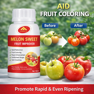 Liquide améliorant la couleur des <span class=keywords><strong>fleurs</strong></span> : Promoteur d'acide humique et d'anthocyanine pour les roses, les chrysanthèmes, les orchidées - Product Image 4