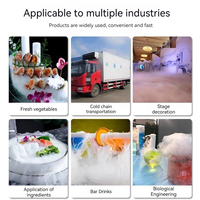 Petite machine à glace sèche micro alimentaire CO2 dioxyde de carbone glace sèche machine de cuisson mélangeur de vin chaîne du froid machine de fabrication de glace sèche