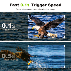 Fotocamera da Caccia Solare 4G da 32MP con Sensore di Movimento a 0,1s, Fotocamera da Caccia Cellulare 4G LTE con BT di Relee OEM - Product Image 6