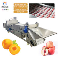 TWH-RG-5 SUS304 RVS Perzik Snijmachine Motor Hoge Efficiëntie Automatische Transportband Type voor Appel Fruitverwerking