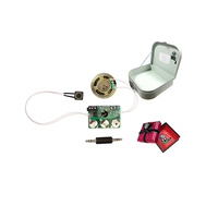 Modules de son de carte de vœux personnalisés en usine OEM Téléchargement MP3 Enregistreur vocal Puce sonore pour boîte-cadeau