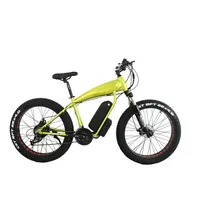 BICYSTAR 1000/1500 वाट उच्च गुणवत्ता वसा टायर इलेक्ट्रिक बाइक पहाड़ इलेक्ट्रिक साइकिल