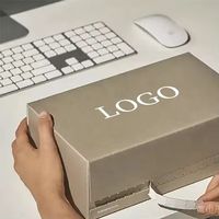 Sobre de Cartón Corrugado Ecológico Moderno Personalizado con Forma de Avión, Autoadhesivo con Tira Desprendible, Impresión de Logotipo a Cuatro Colores con UV