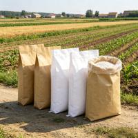 Sacs en papier kraft composites en PP tissé avec doublure en HDPE robuste, conçus sur mesure pour l'emballage du ciment, des colorants et des produits chimiques