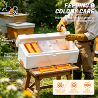Hochfeste EPS Doppel-Bienenköniginnen-Zuchtbox, Mini-Bienenstock mit 4 Rahmen, Bienenzucht-Nukleusbaukasten für die Imkerei