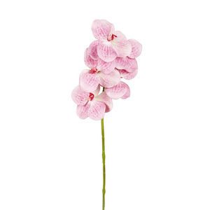 Ramo de Orquídeas Phalaenopsis Artificiales, 5 Cabezas, Flor de Seda Blanca, Alta Simulación, Decoraciones para Bodas y Hogar - Product Image 3