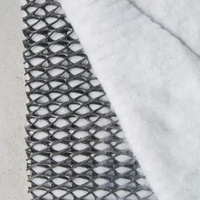 Filet de drainage géocomposite tridimensionnel en HDPE avec géotextile non tissé pour la protection des pentes