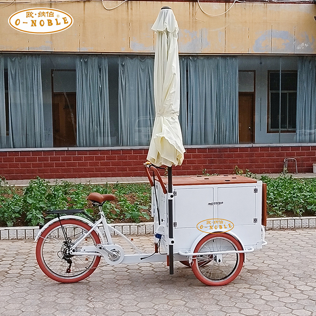3 Wheels Electric Pedal Ice Cream