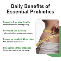 Probiotiques OEM ODM pour femmes et hommes, comprimés, nutriments, équilibre du microbiome intestinal, bien-être général, soutient l'équilibre de la santé digestive