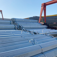 Tube en acier galvanisé de bonne qualité Q195 Q215 Q235 ASTM DIN GI 31,8 mm 38,1 mm 48,3 mm pour la fabrication de cadres de enclos à porcs