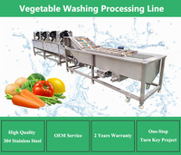 Automatische Groentewasverwerkingsmachine Dragon Fruit Avocado Sortering Wash Waxen Productielijn