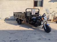 Tricycle Motorisé à Moteur Refroidi par Eau 250cc, Charge Lourde, avec Caisse 5 Roues