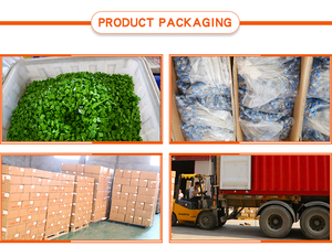 Sceaux de sécurité <span class=keywords><strong>Yuston</strong></span> YTMS117, PC+ABS, fil en acier inoxydable, diamètre 0,68 mm, longueur standard 20 cm, pour l'électricité/l'eau/le gaz - Product Image 4