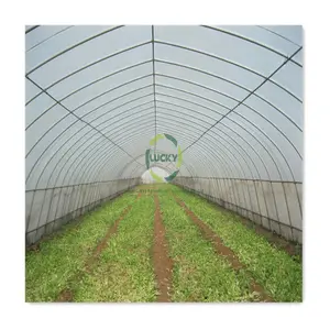 Agricultural Cheap Farm Commercial High Tunnel Suppliers Hydroponic System Single-Span Greenhouses For Plants