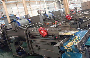 ポテトチップスとフライドポテト加工装置野菜と果物の洗浄と加工ライン - Product Image 6