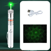 Charge USB rechargeable portable 532nm faisceau de lumière verte pointeur laser pour animaux de compagnie