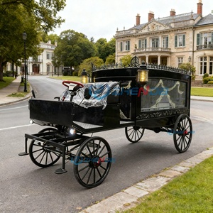 Electric Funeral Hearse Car Coffin Hearse Wagon Luxury Hearse Buggy Cart on Sale Black Dual Function - Product Image 1