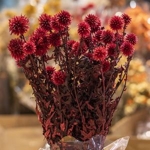 Flores Secas de Cardo Azul UKIQUEEN, Venta al por Mayor, Flores Secas de Eryngium Teñidas, Flores Secas Conservadas de <span class=keywords><strong>Echinops</strong></span> - Product Image 4