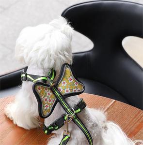 Fábrica al por mayor reflectante pequeño perro Correa y arnés Flor Mariposa estampado diseñador perro arnés chaleco - Product Image 4